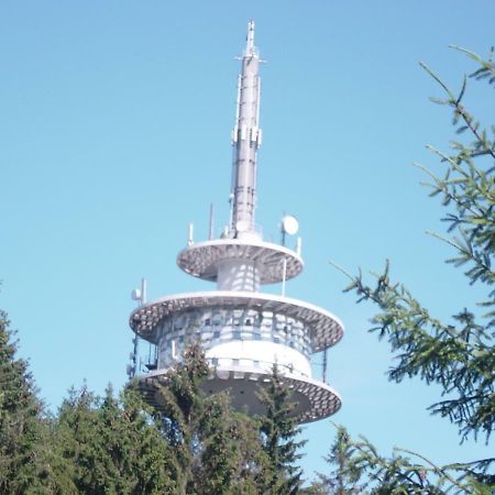 Haus Am Wald Apartment Hillscheid Bagian luar foto