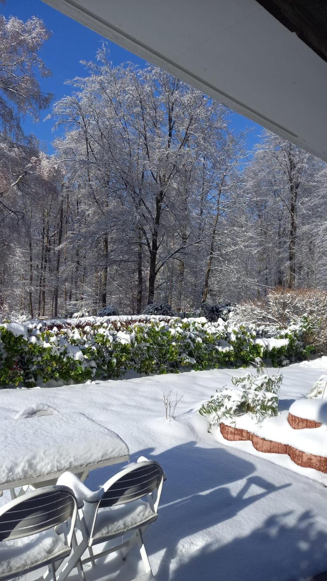 Haus Am Wald Apartment Hillscheid Bagian luar foto