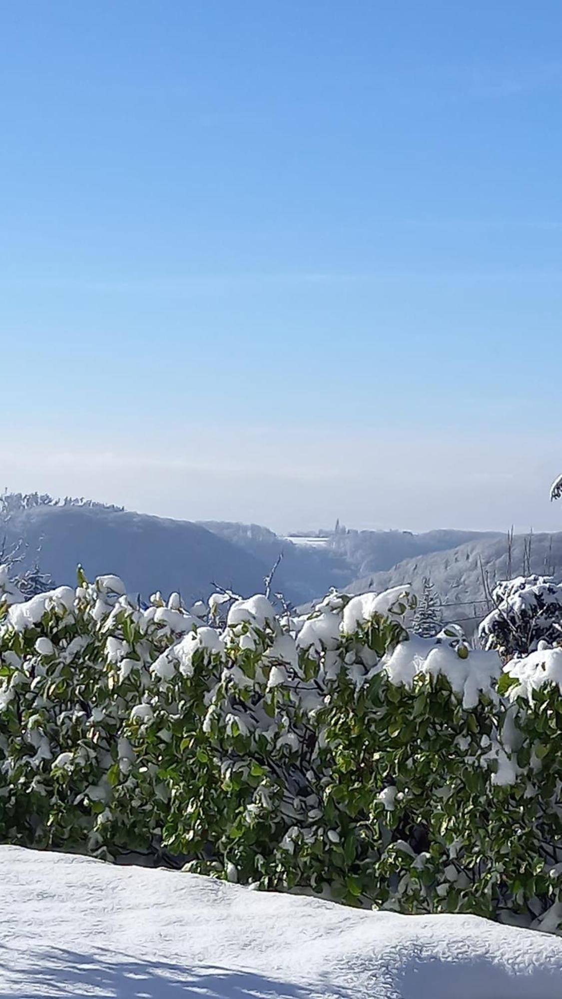Haus Am Wald Apartment Hillscheid Bagian luar foto