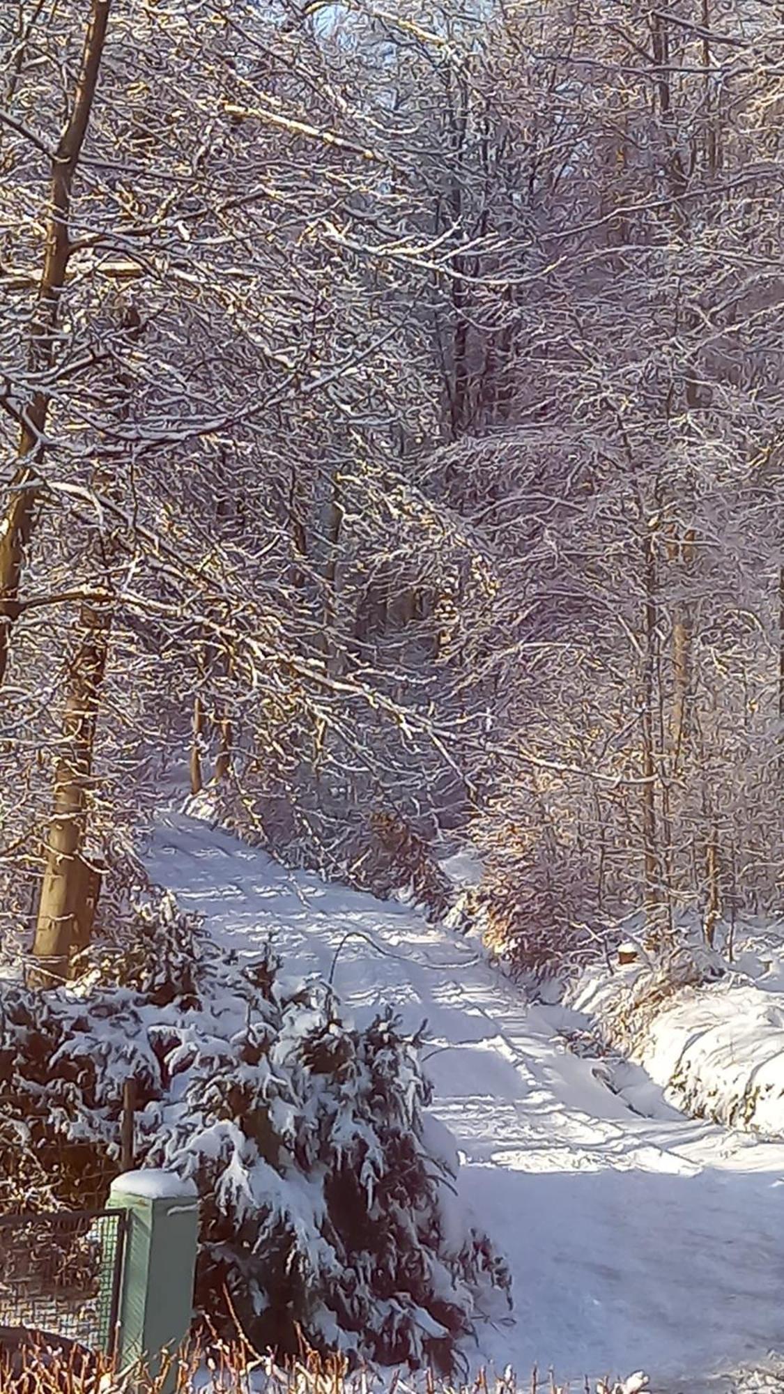 Haus Am Wald Apartment Hillscheid Bagian luar foto
