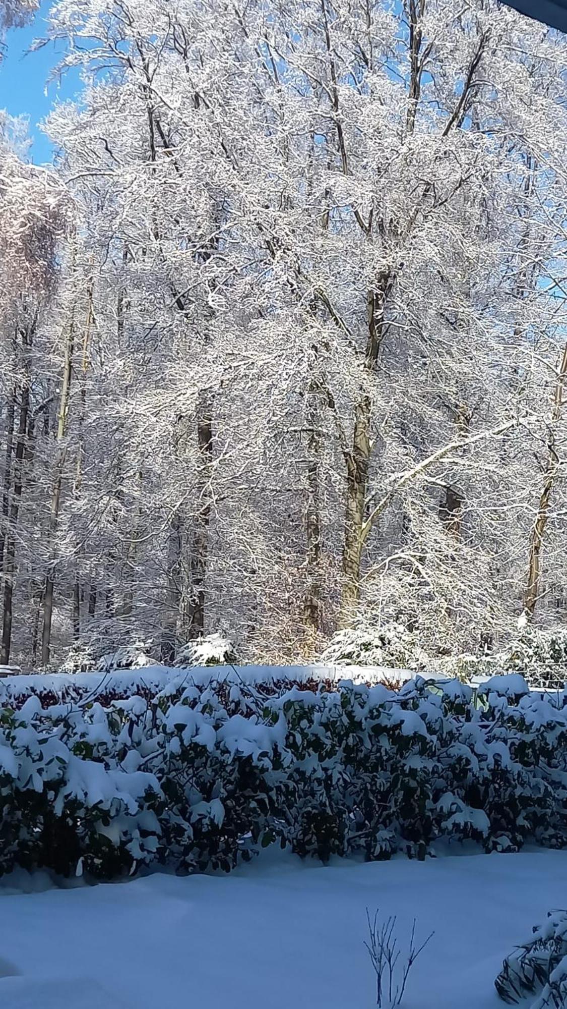 Haus Am Wald Apartment Hillscheid Bagian luar foto