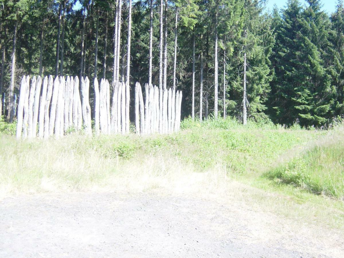 Haus Am Wald Apartment Hillscheid Bagian luar foto