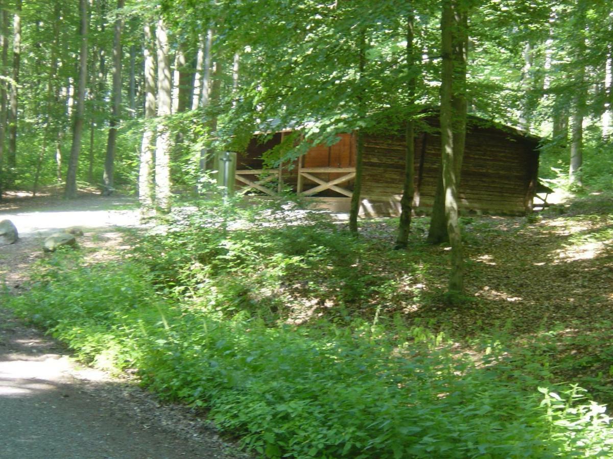 Haus Am Wald Apartment Hillscheid Bagian luar foto